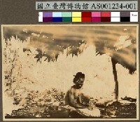 藏品(楚克島 Chuuk (Truk) 上製餅的原住民)的圖片